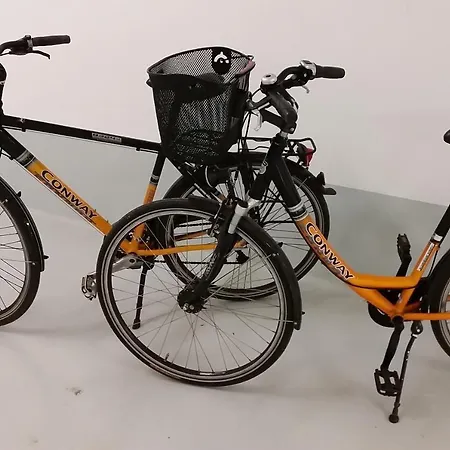 Daire Linden-palais 12